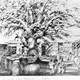 Illustration for article titled Until 1891, an Ancient Sycamore Tree Grew in L.A.'s Industrial Core
